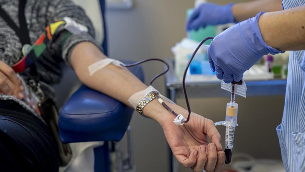 Donating Blood How Much do you get for Donating Plasma