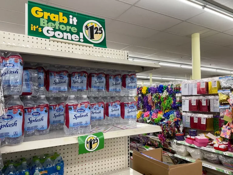 13 Best Things To Buy At Dollar Tree To Save Money
