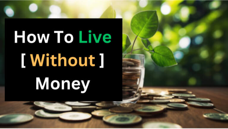 How To Live Without Money